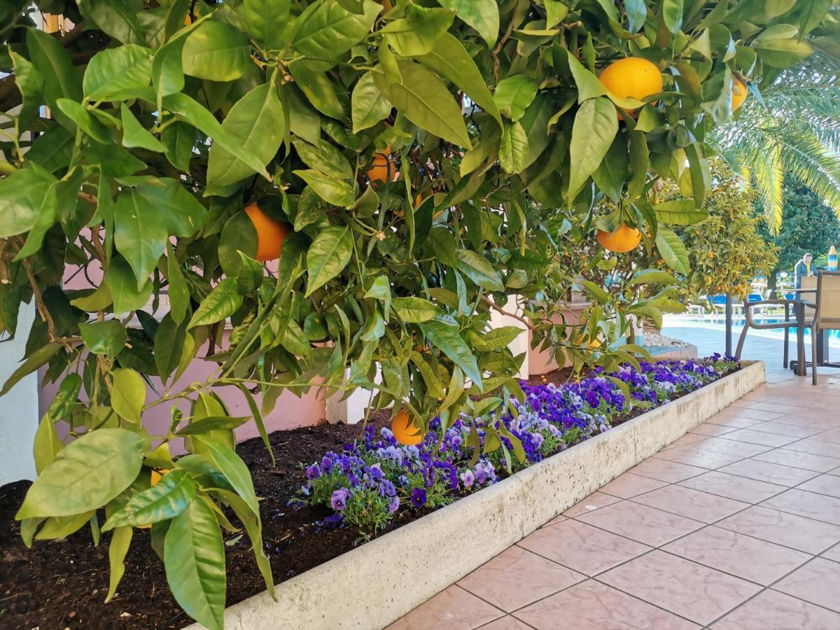 Sunlake Hotel Ρίβα ντελ Γκάρντα Εξωτερικό φωτογραφία